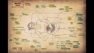 Abdomen agudo Clínica y exploración física [upl. by Jentoft435]