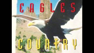 Eagles Doolin Dalton Instrumental [upl. by Olim]