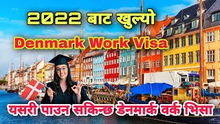 Denmark Work Visa From Nepal यसरी पाउन सकिन्छ डेनमार्क वर्क भिसा [upl. by Yelehsa]