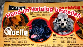 Hunde im Quelle Katalog 70er Jahre Vintage [upl. by Dobrinsky751]