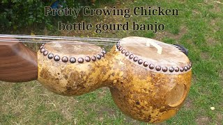 Pretty Crowing Chicken Martin Simpson version bottle gourd banjo [upl. by Hasina]