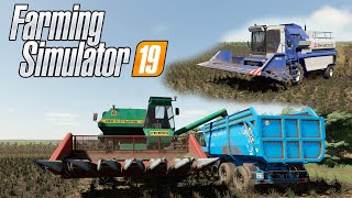 FS19 Карта Балочки Уборка подсолнухов НИВА СК5 Эффект Енисей9541200 1НМ МТЗ122110252 [upl. by Grantland]