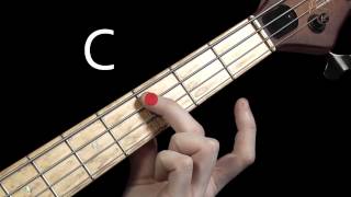 Learn Bass Guitar  Scales amp Chord Tones  part 1 [upl. by Ahsocin]