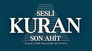 Sesli Kuran Son Ahit  Sure 6 Çiftlik Hayvanları ElEn’am [upl. by Marin]