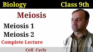 Meiosis class 9  Meiosis 1  Meiosis 2  phases of meiosis [upl. by Enihpets]