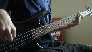 Dermis Tatu  Terrenal Bass cover [upl. by Procora]