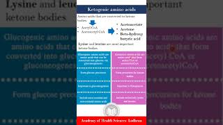 Ketogenic Amino acids  Biochemistry  by Imran Yaseen [upl. by Atonsah]