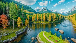 Beautiful Relaxing Music  Stop Overthinking Stress Relief Music Sleep Music Calming Music 244 [upl. by Elcin]