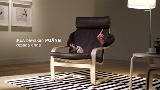 IKEA POÄNG [upl. by Farrel]