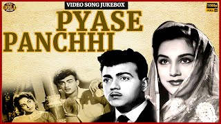 Ameeta Mehmood  Pyase Panchhi 1961 Movie Video Songs Jukebox  HD Hindi Old Bollywood Songs [upl. by Anaid]