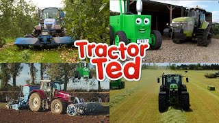 Big Machines Compilation 🚜  Tractor Ted Big Machines  Tractor Ted Official Channel [upl. by Slerahc]