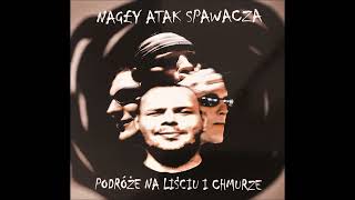 Nagły Atak Spawacza  quotPedał Roman 2001quot [upl. by Jehias]