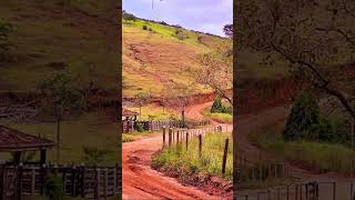 raiz sertanejo musica tonicoetinoco estrada rural 🌿🍂🍃🎶 [upl. by Brok531]