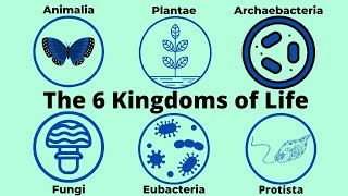 Basic Taxonomy6 Kingdoms of LifeClassification [upl. by Christi491]