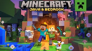 Como hacer Un servidor de Minecraft Java y Bedrock [upl. by Eneluj]