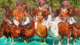 Tiger Chicken Biriyani  Giant Size Country Chicken Cooking  Morog Pulao Recipe of Grandpa [upl. by Acsisnarf905]