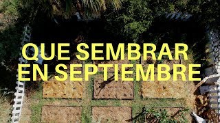 Que Sembrar En Septiembre 2023hemisferio norte y sur calendario de siembra [upl. by Campball]