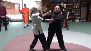 Grandmaster Walter Toch explain sinking body in selfdefence taiji Chen [upl. by Herc]