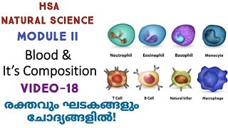 CirculationHSA NATURAL SCIENCEKTET 3SET [upl. by Rosaline174]