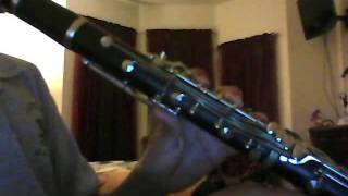 How To Play Mary Had A Little Lamb On The ClarinetEASY [upl. by Avner801]