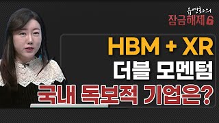 유영화의 잠금해제 HBM  XR 더블 모멘텀 국내 독보적 기업은  머니투데이방송 증시 증권 [upl. by Elleiand]