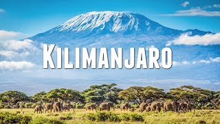 CLIMBING MOUNT KILIMANJARO [upl. by Skiba431]