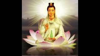 TA PEI COU LAGU BUDDHA  Guan Yin Pousat budhist buddhasongs meditationmusic buddhism [upl. by Hathcock]