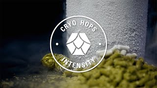 Cryo Hops® Brand Pellets  Yakima Chief Hops [upl. by Ahsinned]