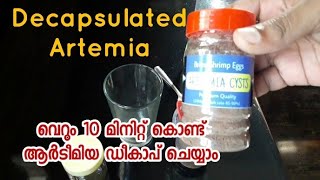 Decapsulated Artemia Malayalamആർടീമിയ ഡികാപ് ചെയ്യാം [upl. by Aisatana]