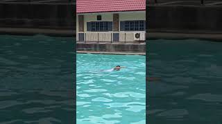 PNP SAF APPLICANT SWIM TEST [upl. by Nauqat666]