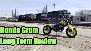 Honda Grom Long Term Review [upl. by Tann]