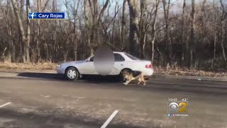 Dog Being Dragged On Leash By Man Inside Car Caught On Tape [upl. by Trebliw992]