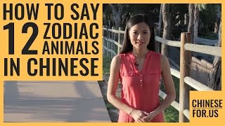 How to Say Chinese Zodiac Animals in Chinese  The 12 Chinese Zodiac Sign Animals [upl. by Notxam]