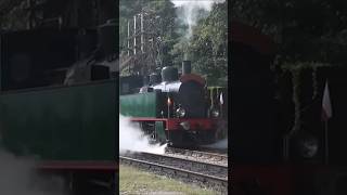 Manewry Tubize 2069 w Wolsztynie stoomtrein steamtrain shorts ytshorts retro summer train [upl. by Birkner241]