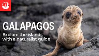 Experience the Galapagos Islands with Intrepid Travel [upl. by Noramac944]