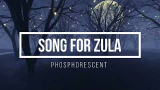 Phosphorescent  Song for Zula LYRICS VIDEO [upl. by Necyla94]