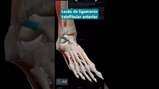 Lesão do ligamento talofibular anterior fisioterapia exercícios cinesioterapia [upl. by Neraa]