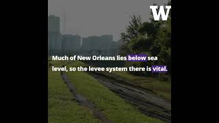 Engineer explains how New Orleans levee system worked against Hurricane Ida [upl. by Adim]