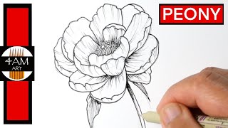 How to Draw a Peony Flower Step by Step [upl. by Eberta]