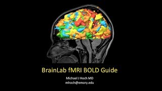 Functional MRI fMRI Brainlab Processing Guide [upl. by Jevon87]