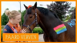 Paard verven voor het WK  PaardenpraatTV [upl. by Nevuer]