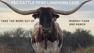 Working Longhorn Calves with PampC Cattle Pens Longhorn Cage [upl. by Litta]