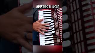 quotEl Alegres del Tecolotequot TUTORIAL Acordeon de Teclas alfonsopayan elalegresdeltecolote paratii [upl. by Htnnek]