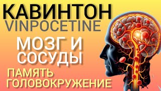 Кавинтон Vinpocetine Память Сосуды Головокружения Энергия l Польза или Вред [upl. by Cordelia158]