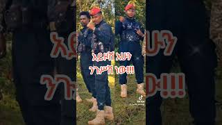 አምና አድስ አበባ  Best Amharic Music [upl. by Laing]