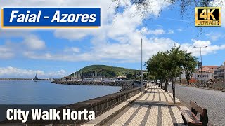 Horta Virtual Walk  Faial Azores [upl. by Roda]