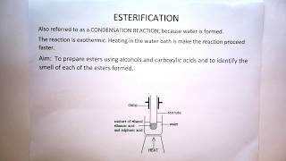 Esterification Theory for Practical Gr 12 [upl. by Lorien]