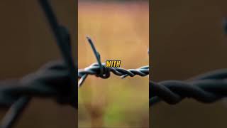 Barbed Wire A Sharp History shorts [upl. by Anilesor157]