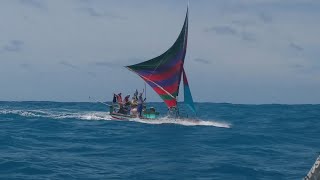 PESCADORES EM AÇÃOFISHING DICAS NA PESCA DE CAVALA3 PESCADORES NA JANGADA PASSAM A SEMANA [upl. by Reinhardt]