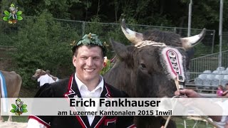 Fankhauser Erich am Luzerner Kantonalen Inwil 2015 [upl. by Ynagoham]